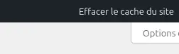 Bouton pour effacer la cache de Cache Enabler